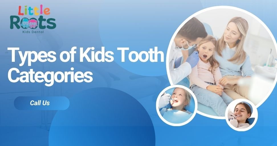 What are the Different Types of Kids Tooth Categories